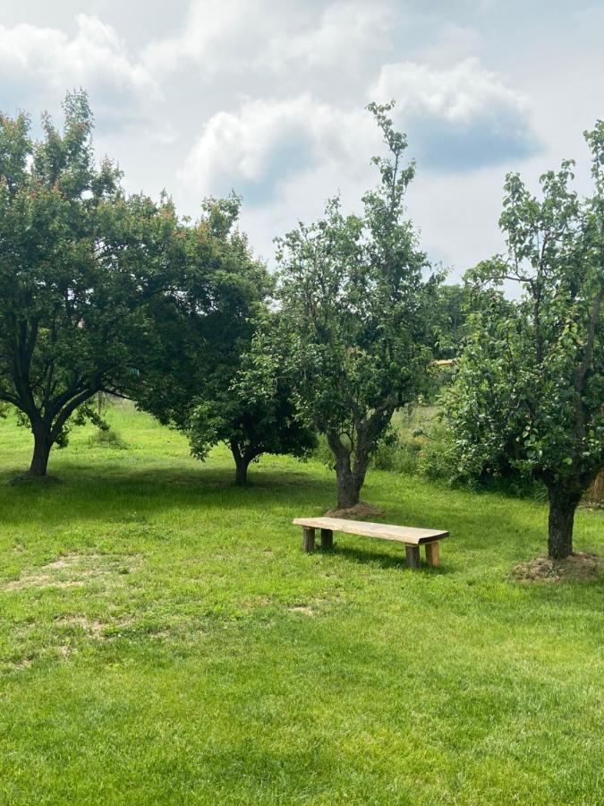 Holiday Home Znojmo W/ Wellness & Wine Bagian luar foto